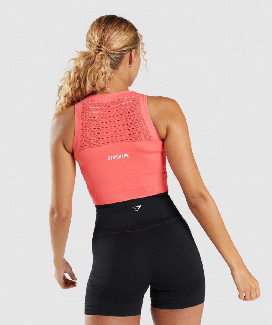 Corp Tops Gymshark Energy Seamless Mujer Rosas | CO 2446JPQ